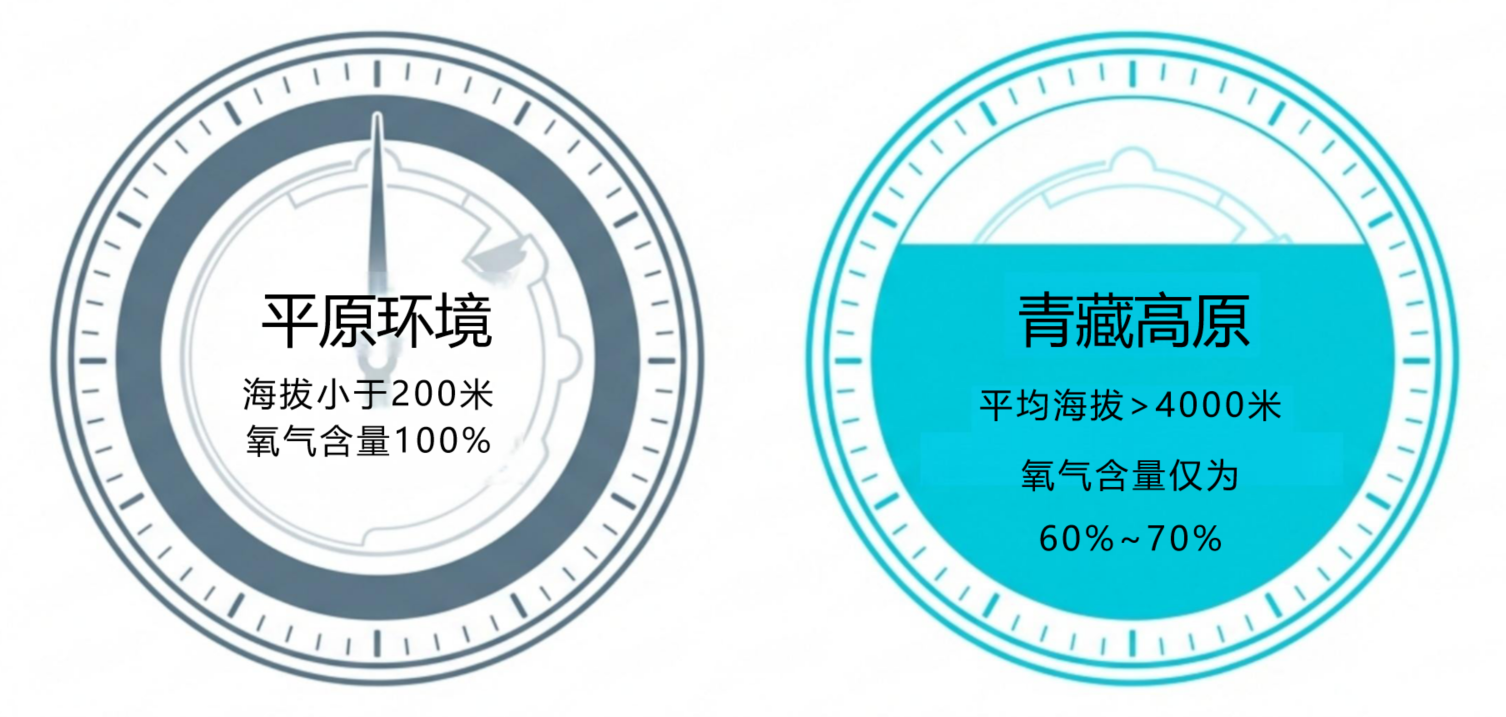 平原与高原海拔、含氧量对比示意图